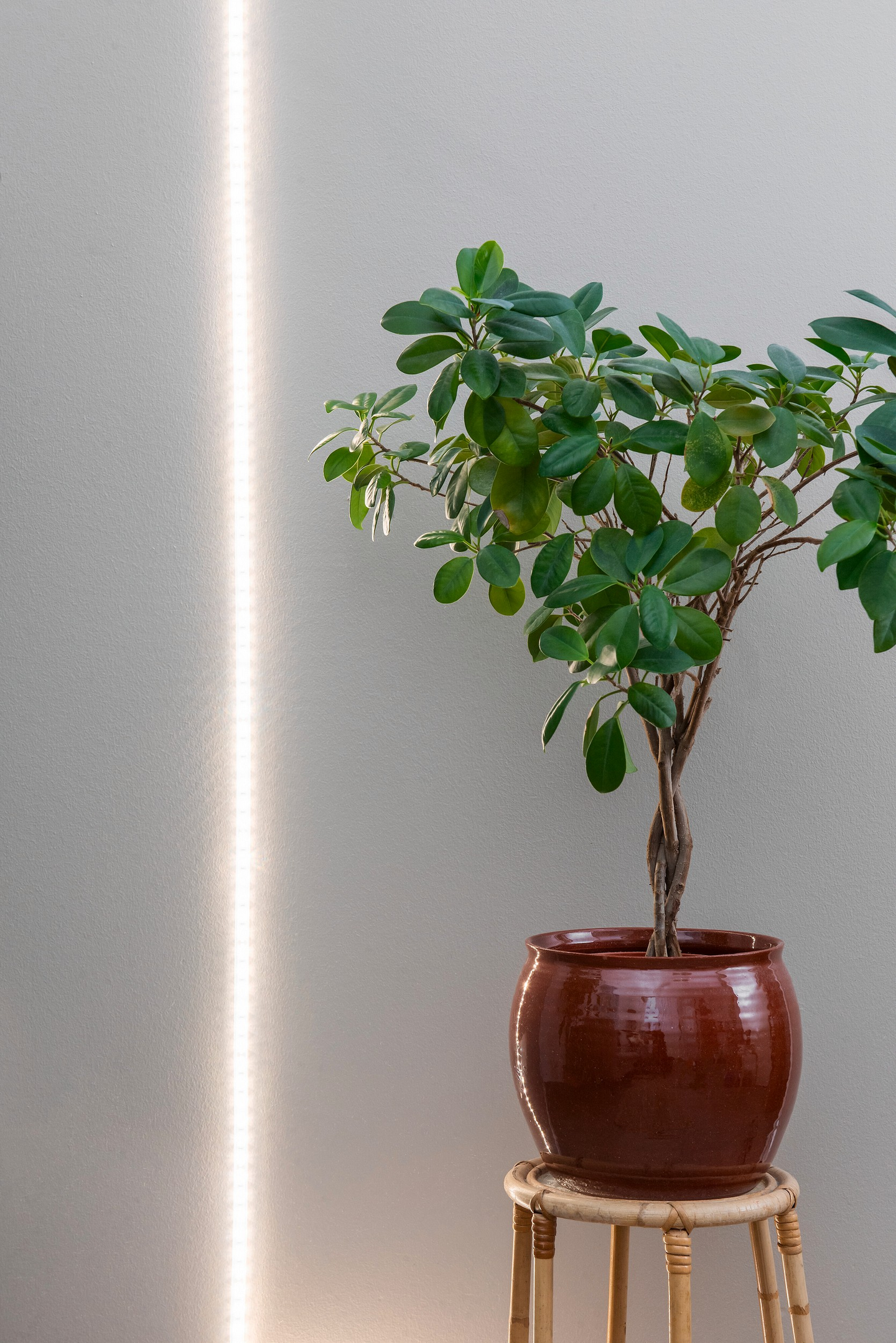 Airam kasvivalo led strip valonauha 2m
