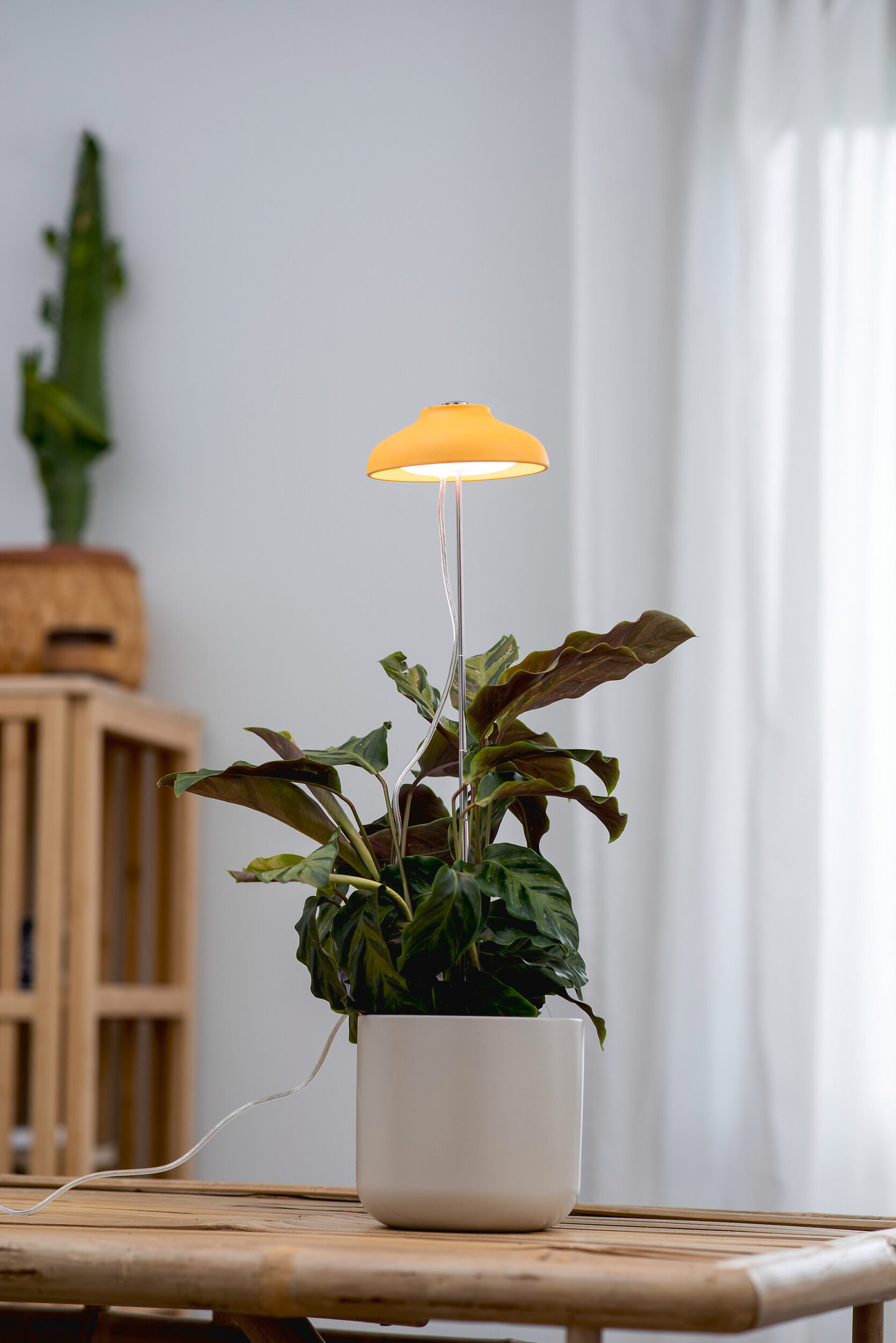 Airam Iiris kasvivalo IP20 5W 240lm keltainen