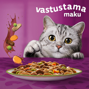 Whiskas Tasty Mix Kokin valinta kastikkeessa 12x85g