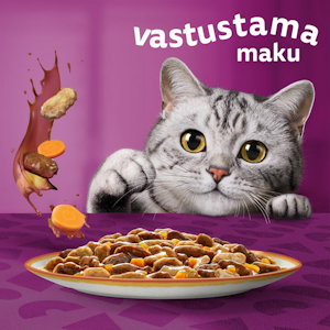 Whiskas 1+ Tasty Mix Maalaissekoitus kastikkeessa 12x85g