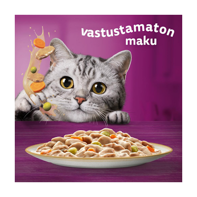 Whiskas 1+ Tasty Mix Täyteläiset herkut kastikkeessa 12x85g