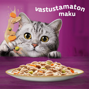 Whiskas 1+ Tasty Mix Täyteläiset herkut kastikkeessa 12x85g