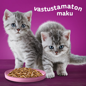 Whiskas Junior Pure Delight mureaa siipikarjaa hyytelössä 12x85g