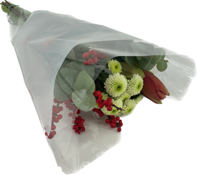 Amarylliskimppu Alankomaat