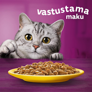 Whiskas 1+ siipikarjaherkut kastikkeessa 12x85g