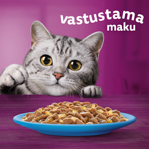 Whiskas 1+ kalasuosikit hyytelössä 12x85g