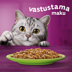 Whiskas 7+ suosikit lajitelma kastikkeessa 12x85g