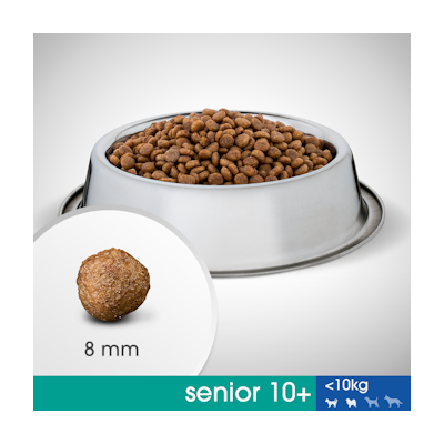 Perfect Fit Senior 825g kana