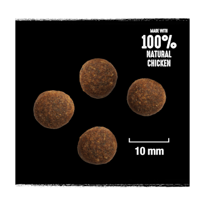 Crave koiran kuivaruoka 1kg kalkkuna & kana