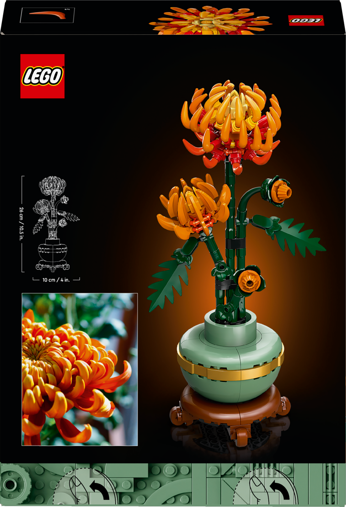 LEGO® Icons Krysanteemi kukkakoristeen rakennussetti 10368