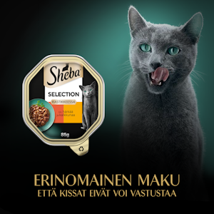 Sheba Selection annosateria kissalle häränliha 85g