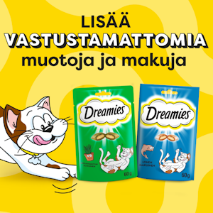 Dreamies MegaTub kana 350g