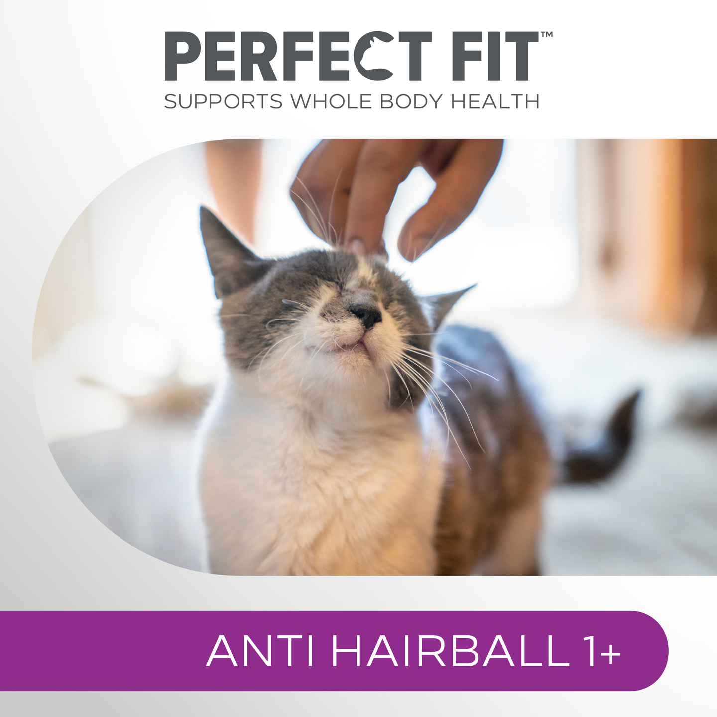 Perfect Fit Antihairball 1+ kana 750 g