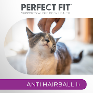 Perfect Fit Antihairball 1+ kana 750 g