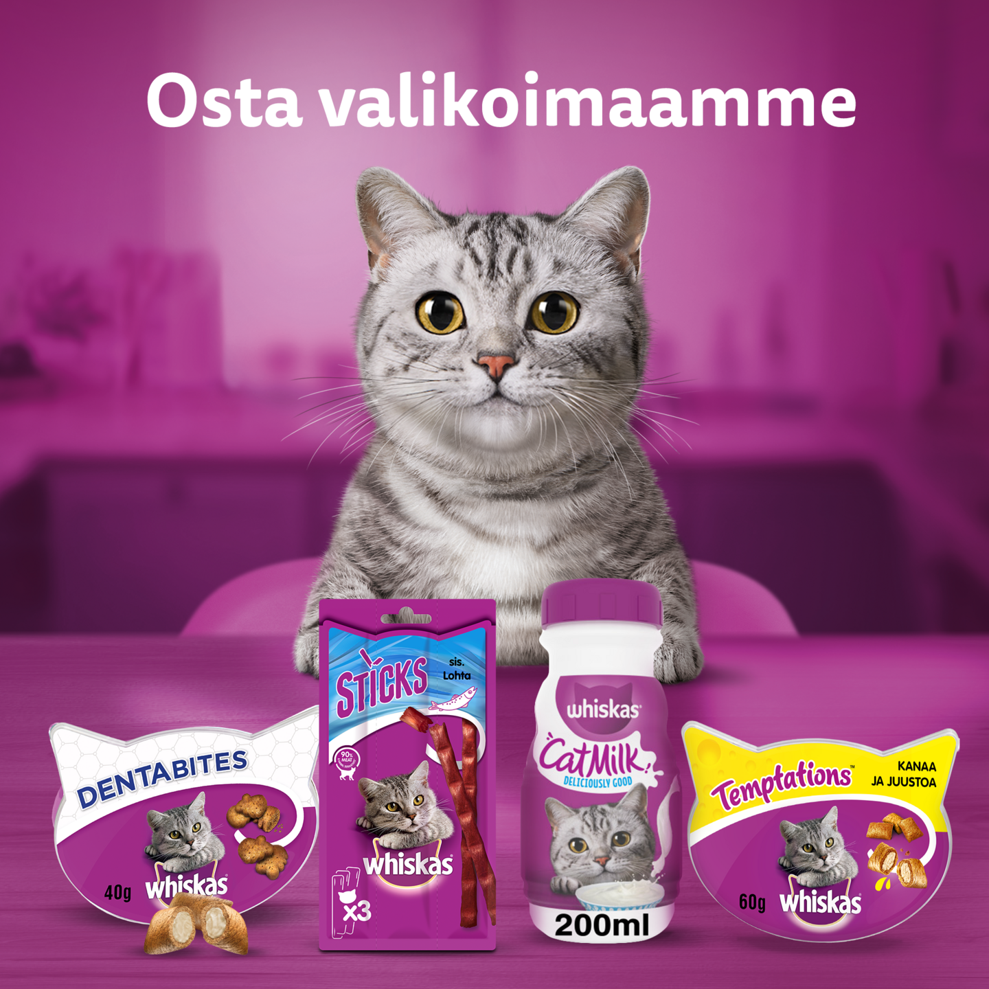 Whiskas Catmilk 200ml kissanmaito
