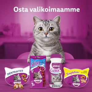 Whiskas Catmilk 200ml kissanmaito