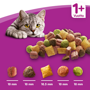 Whiskas 1+ Kanaa 800g