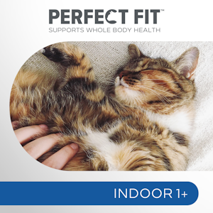 Perfect Fit Indoor 1+ kana 1,4kg