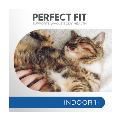 Perfect Fit Indoor 1+ kana 750g