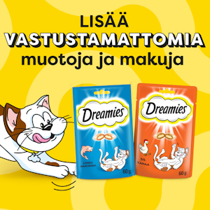 Dreamies kissanminttu 180g