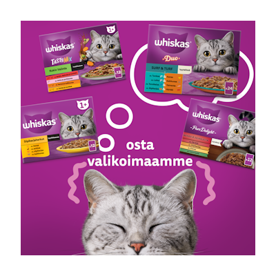 Whiskas 1+ Duo Surf and Turf Hyytelössä 12x85g