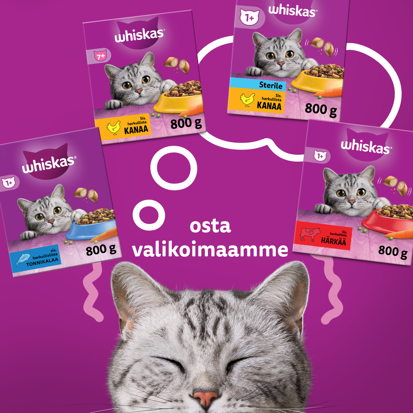 Whiskas 1+ kissan kuivaruoka 1,9kg härkä