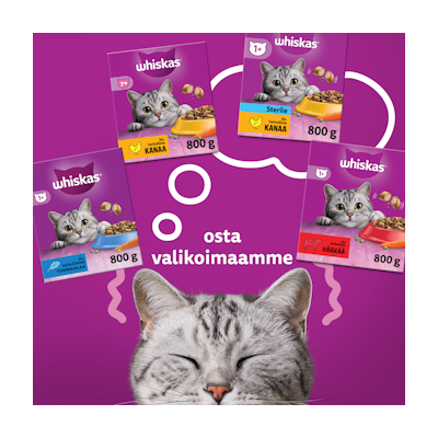 Whiskas 1+ kissan kuivaruoka 1,9kg härkä