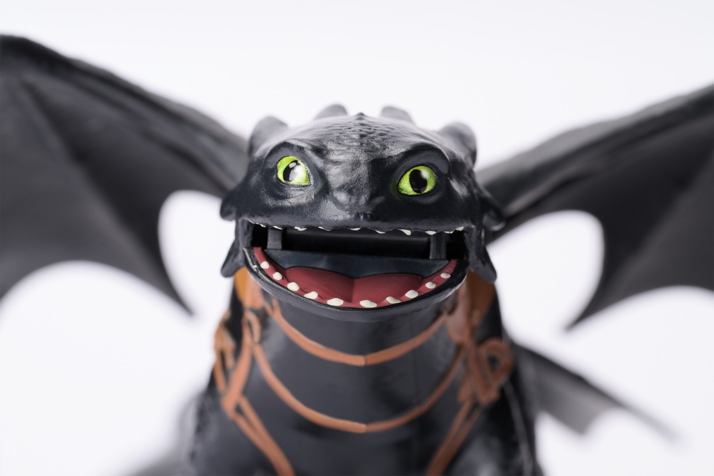 Dragons Hampaaton & Hikotus