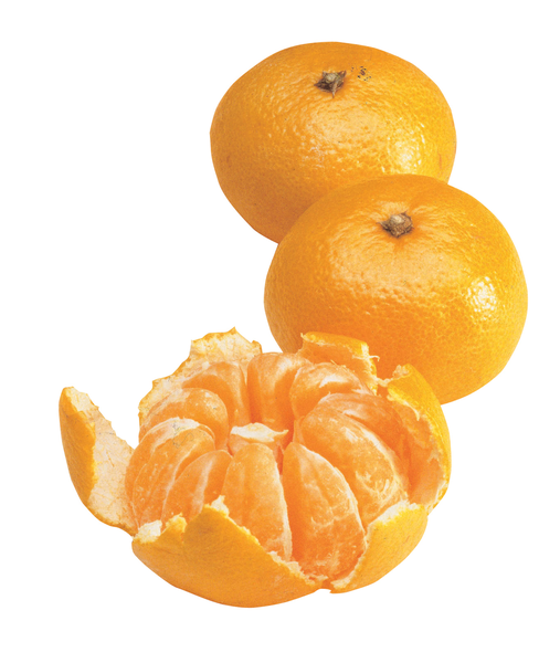 Satsuma luomu