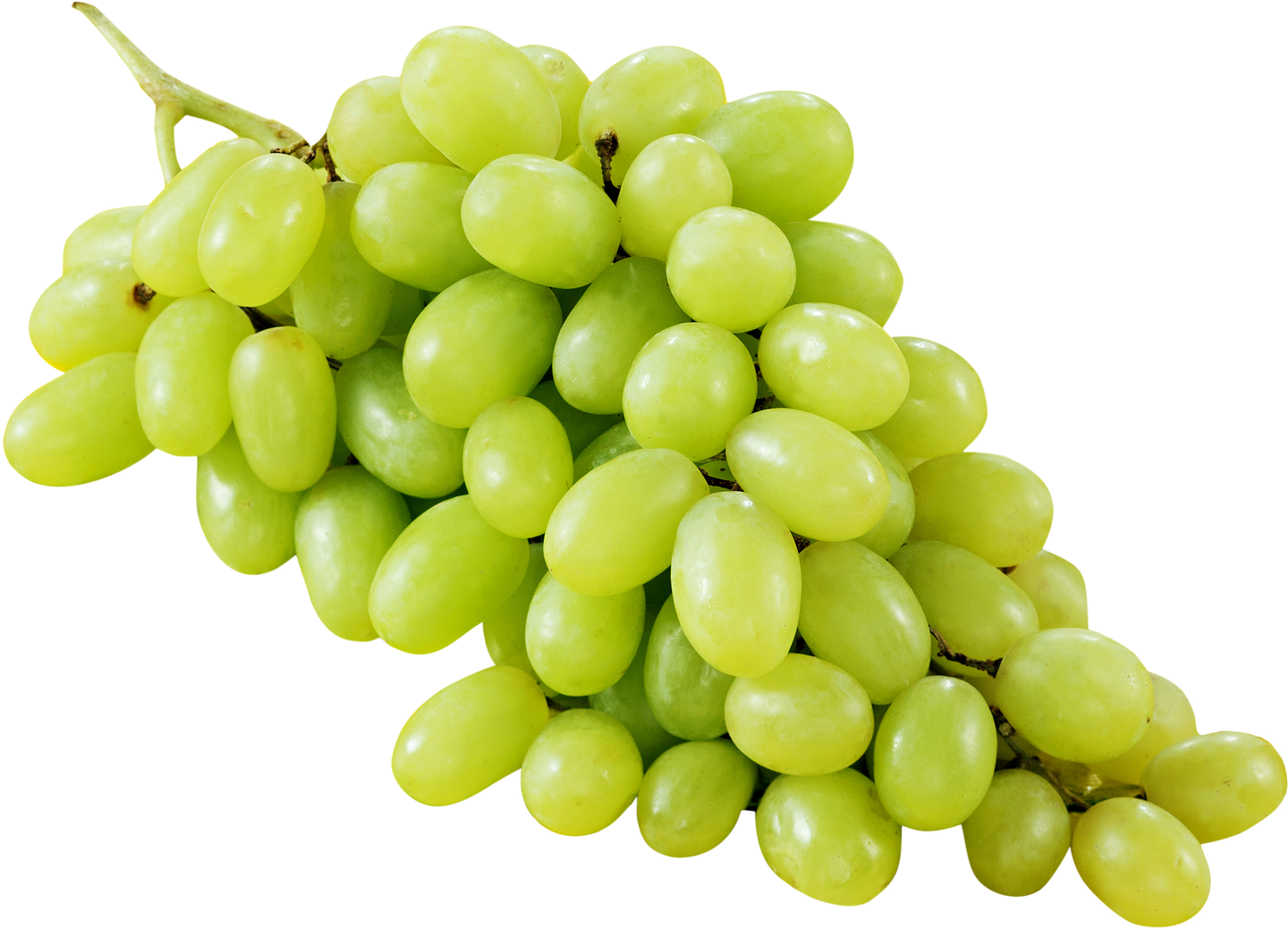 Rypäle vihreä siemenellinen