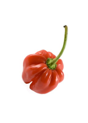 Chilipaprika Habanero
