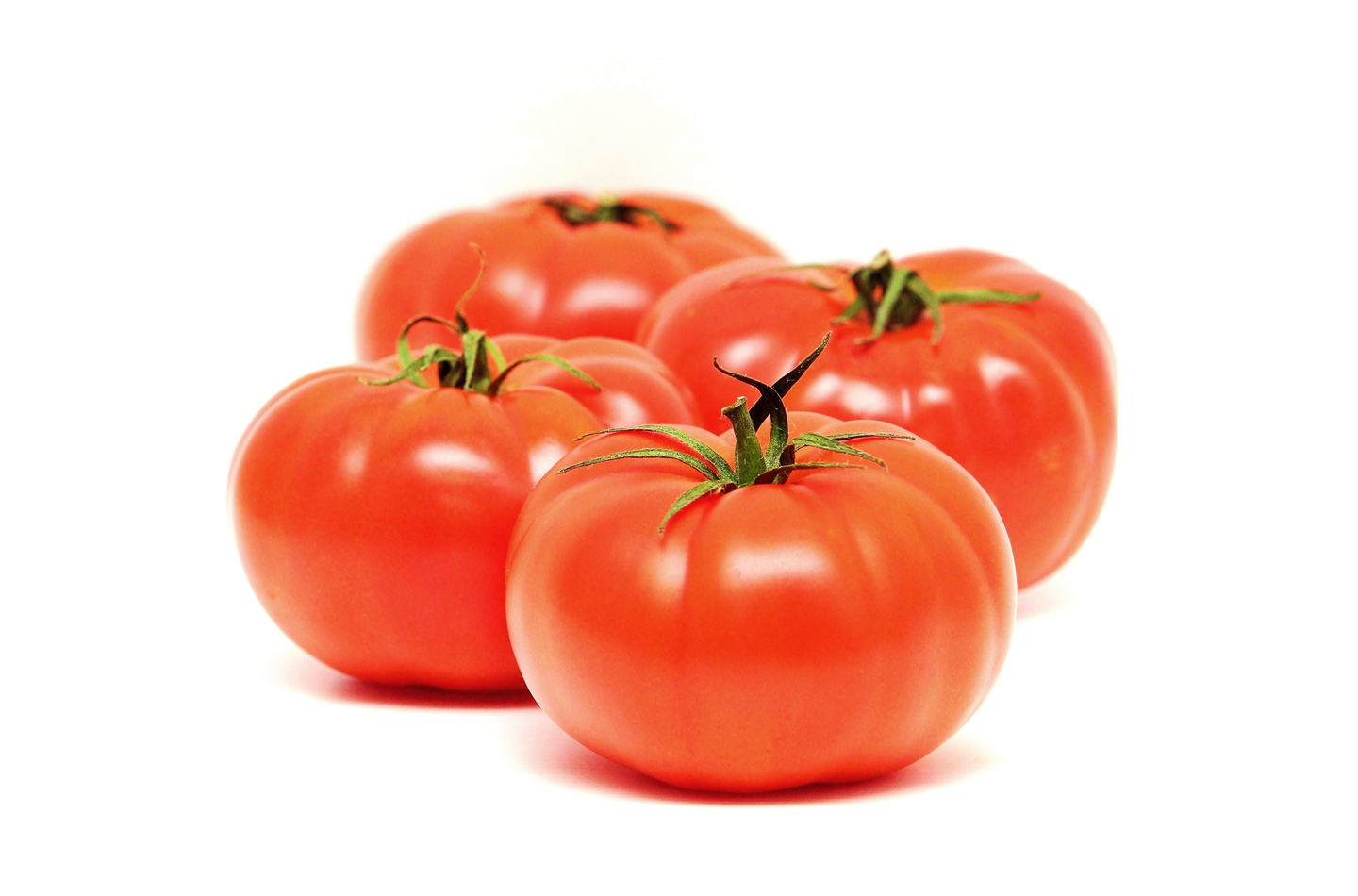 Pihvitomaatti ulkomainen