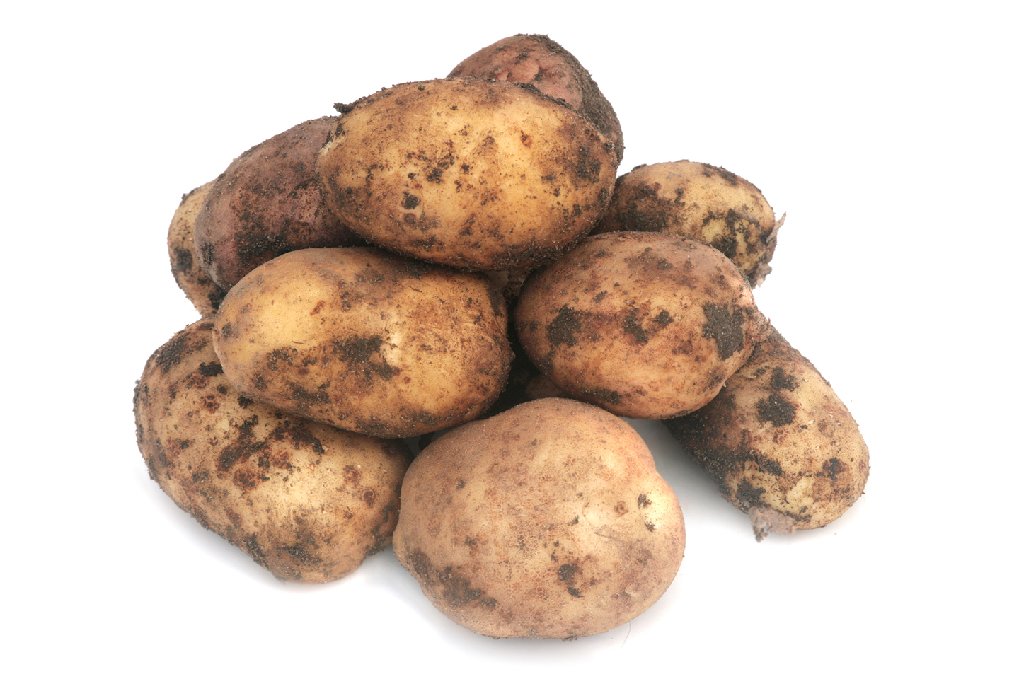 Varhaisperuna multainen Suomi