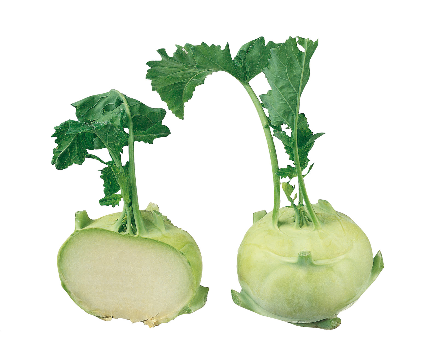 Kyssäkaali ulkomainen