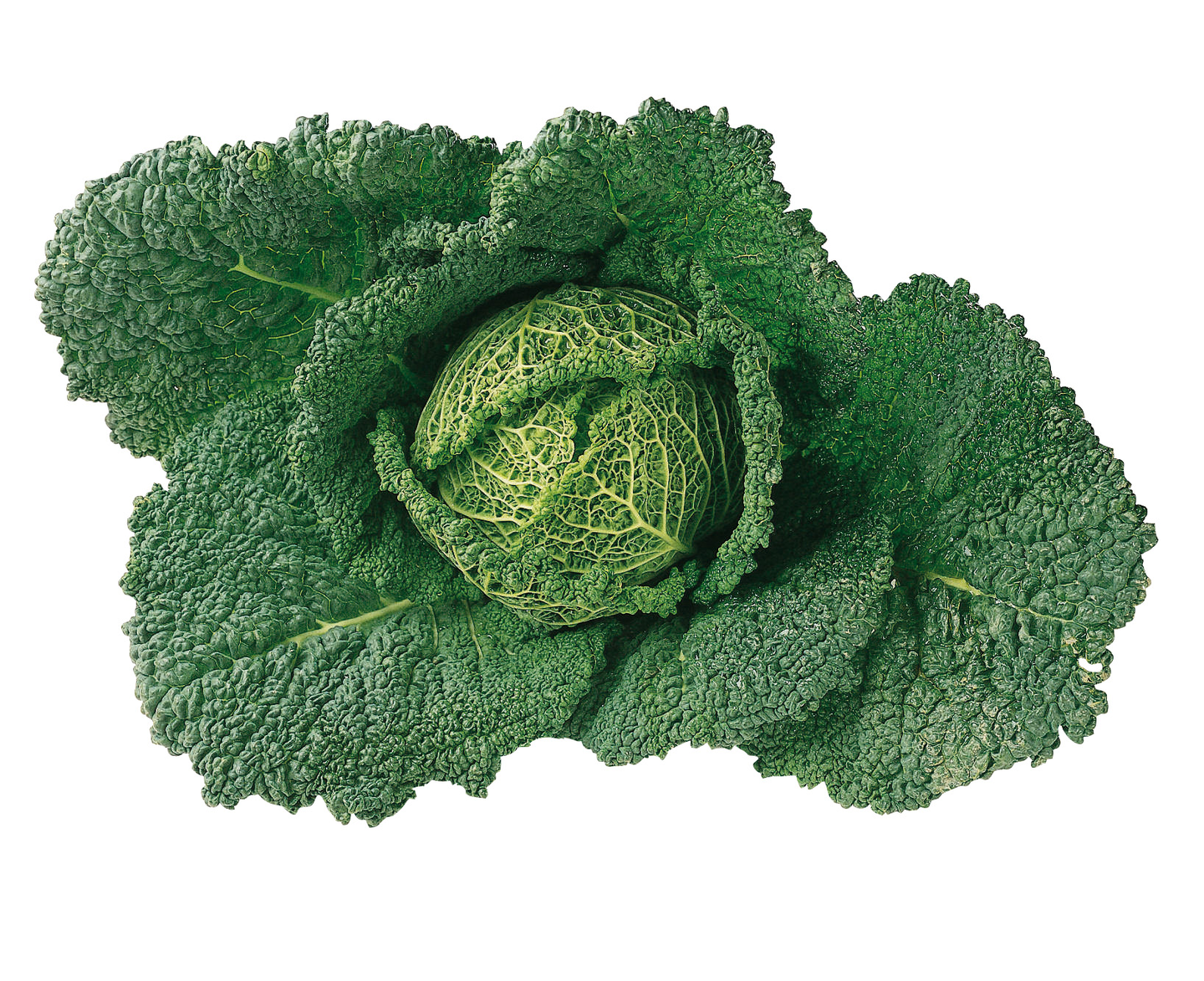 Savoijinkaali luomu Suomi