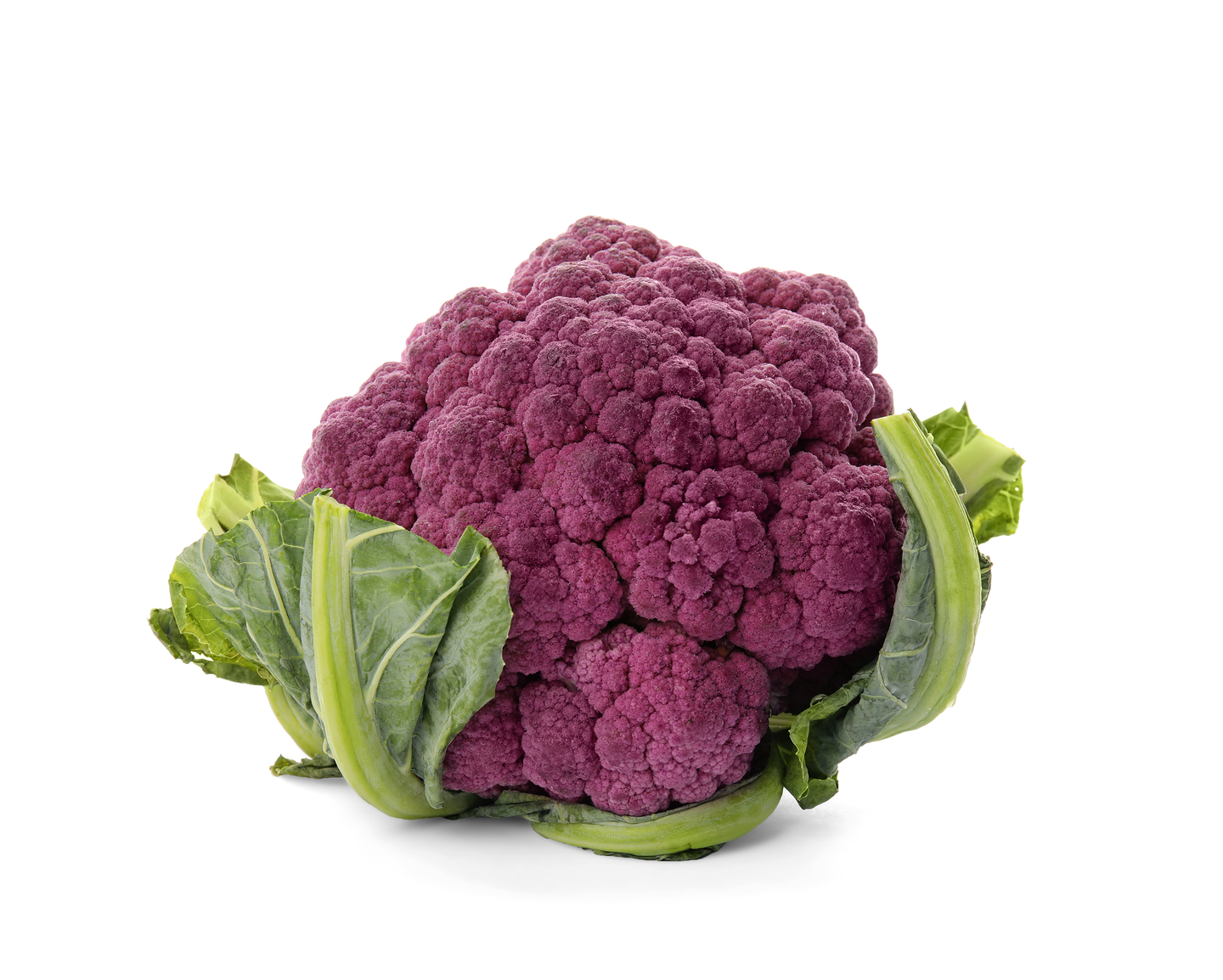 Kukkakaali violetti Suomi