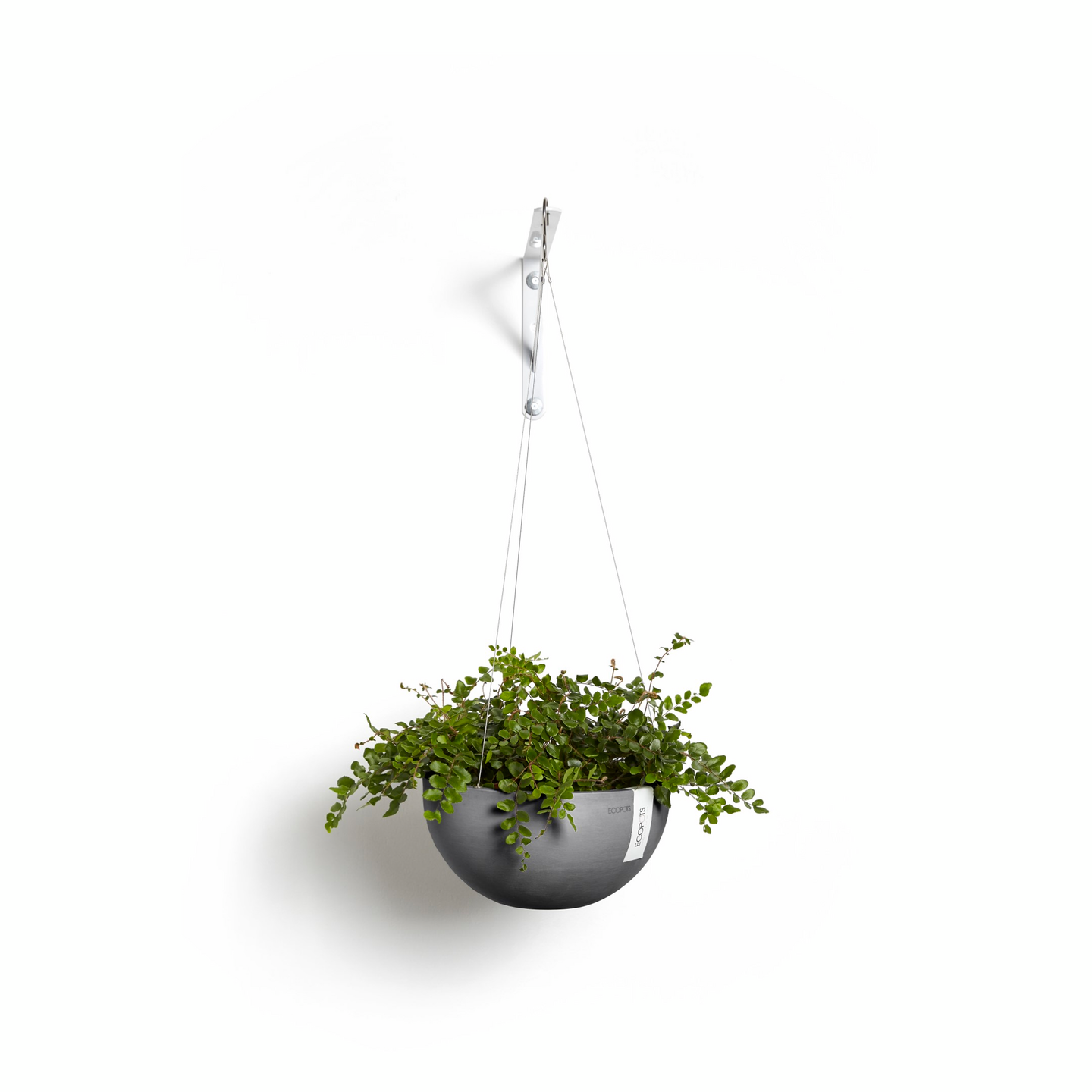 Ecopots Brysseli amppeli 27 cm harmaa