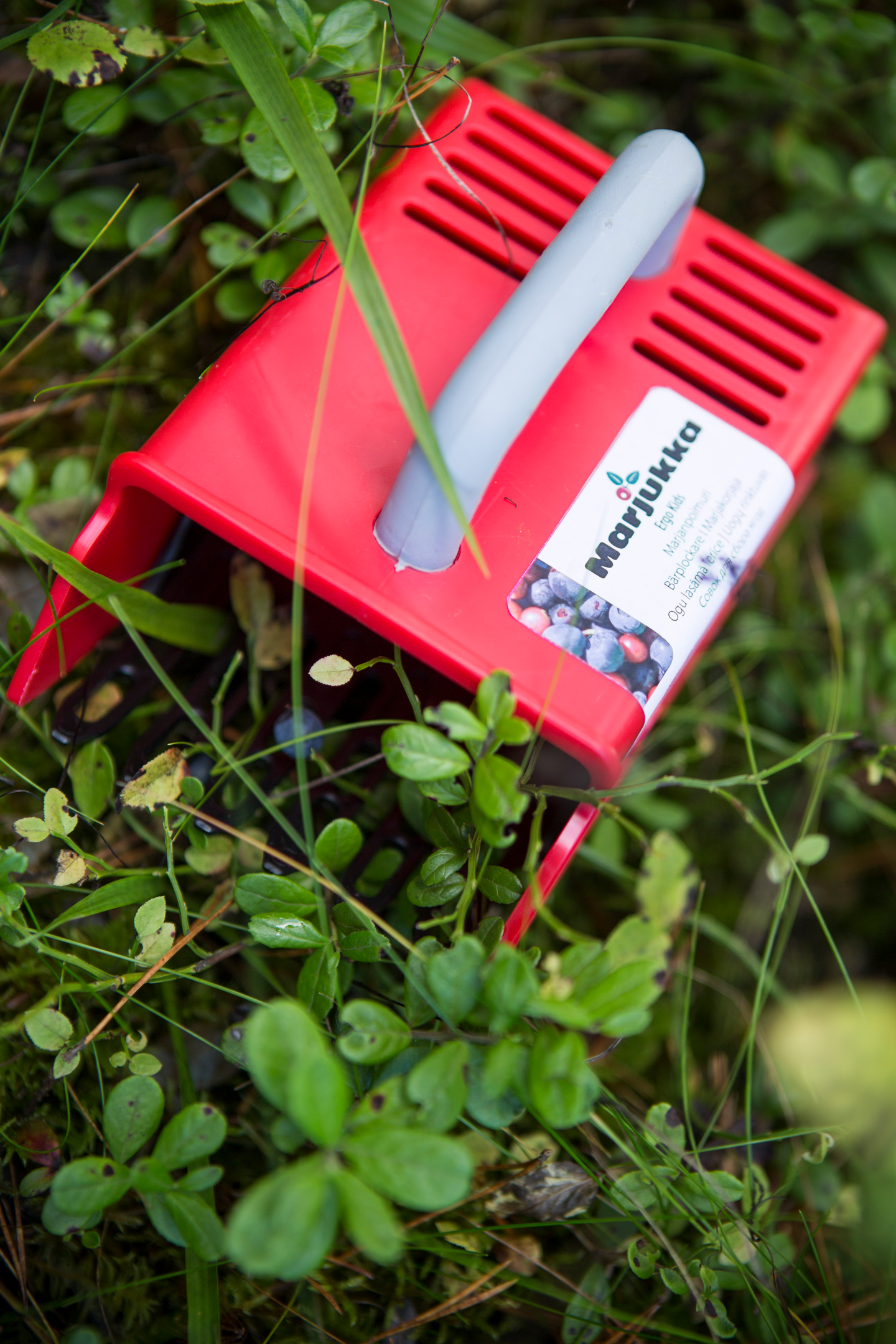 Marjukka lasten ergonominen marjanpoimuri