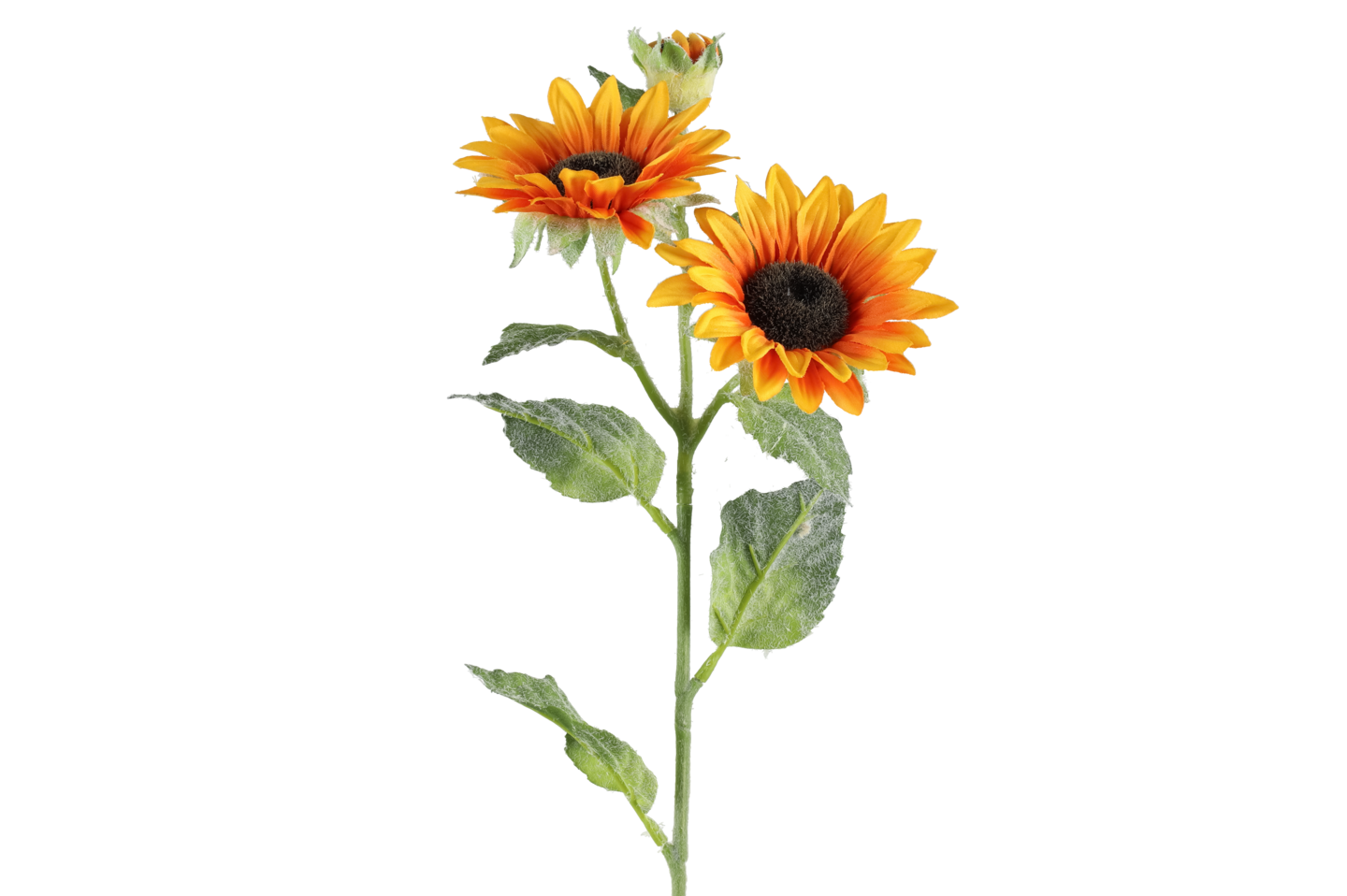4Living Auringonkukka 62 cm lajitelma