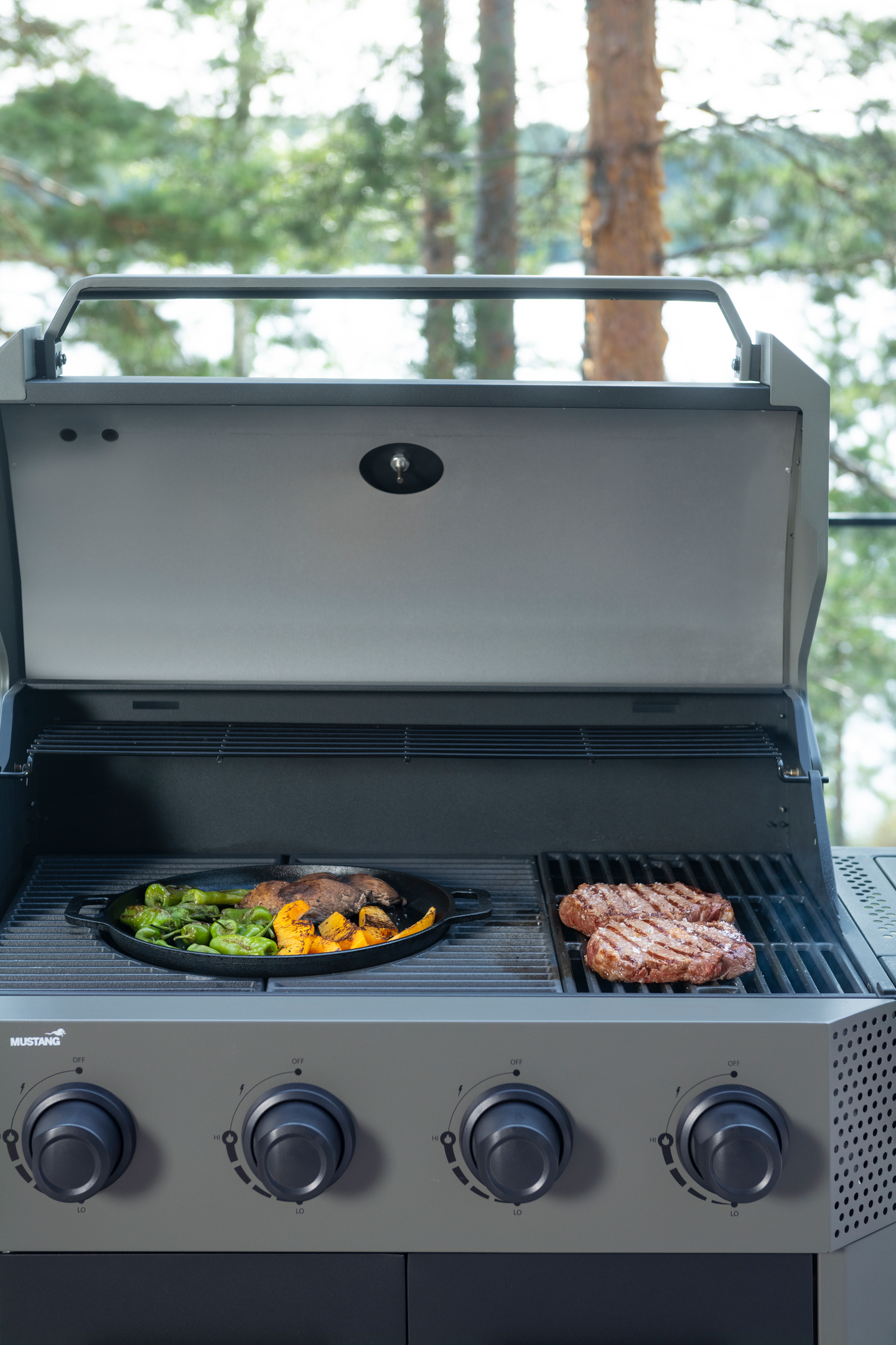 Mustang Augusta 4+1 kaasugrilli