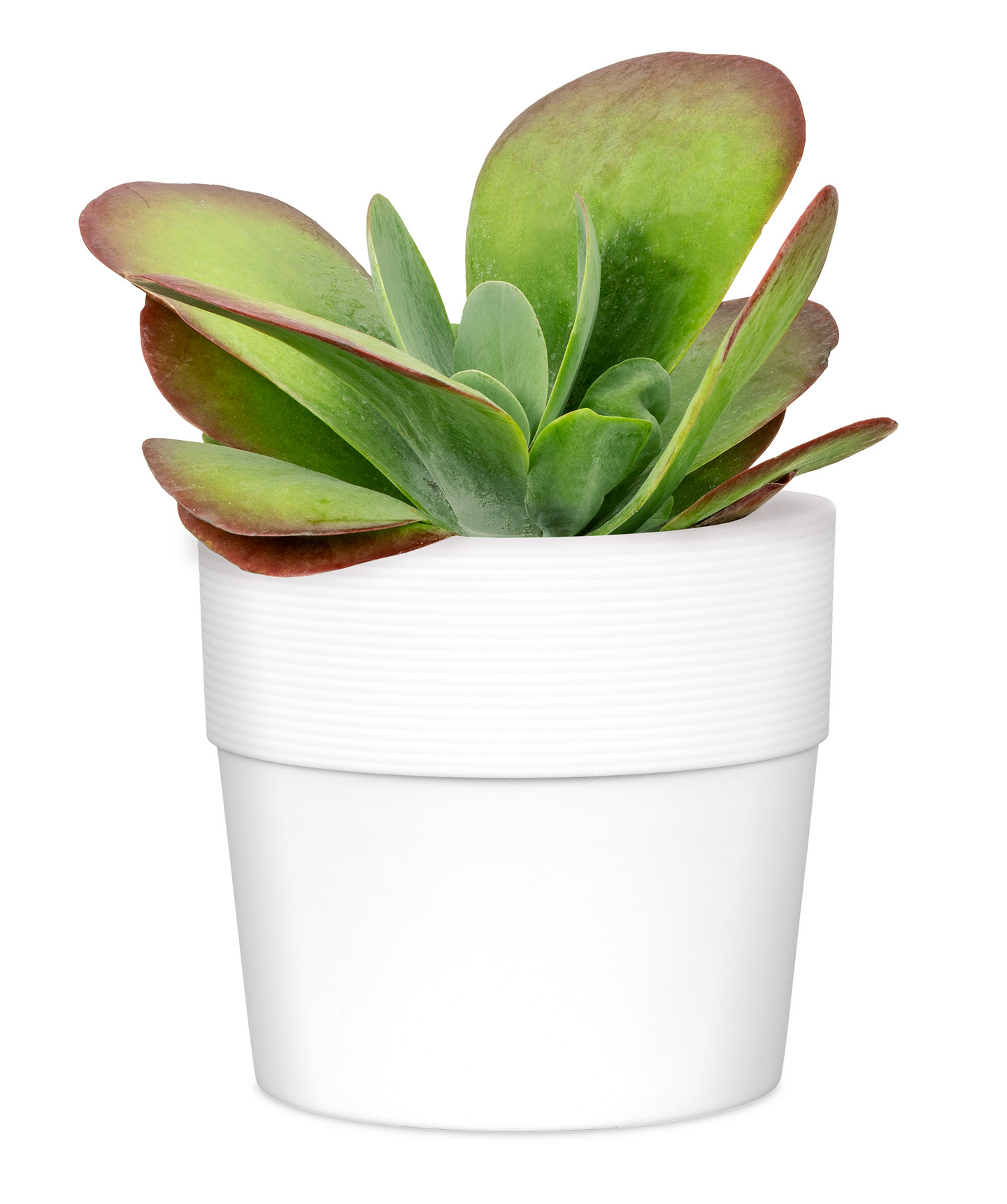 Scheurich ruukku, halkaisija 30 cm