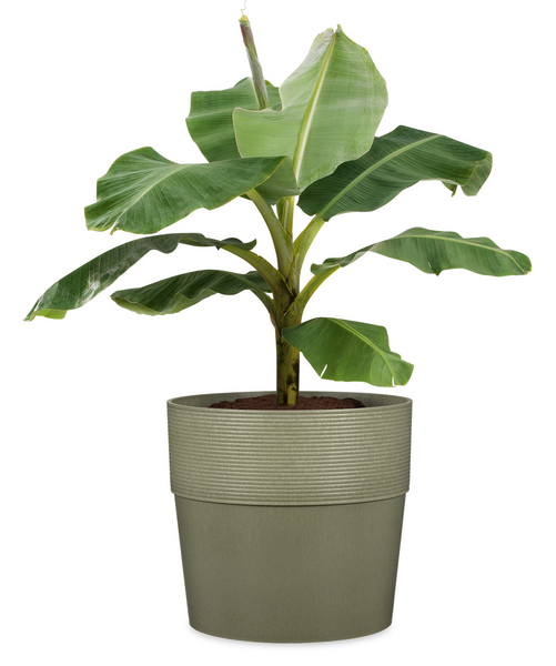 Scheurich ruukku, halkaisija 30 cm
