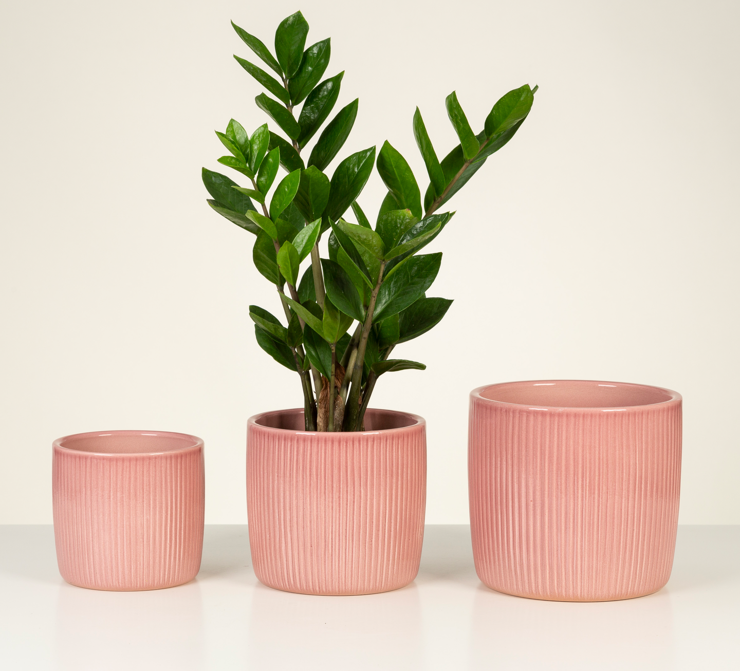 Scheurich ruukku raita 909-15 cm rose