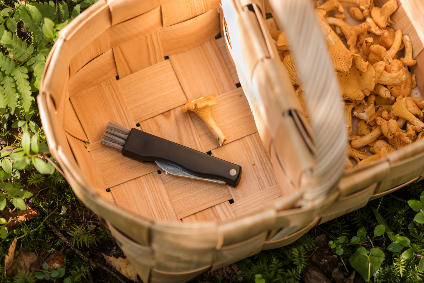 Marjukka pärekori jakajalla