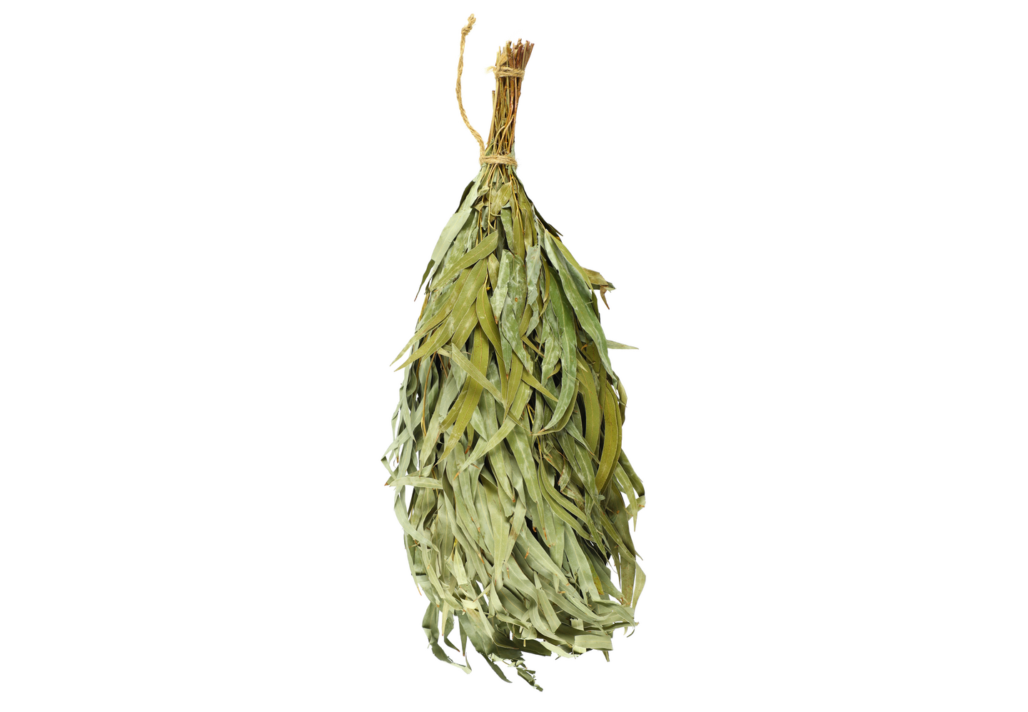 Rento kuivattu saunavihta eukalyptus