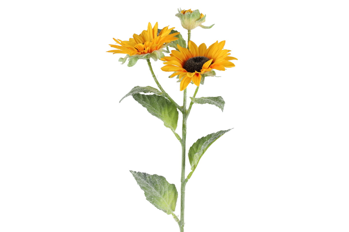 4Living Auringonkukka 62 cm lajitelma