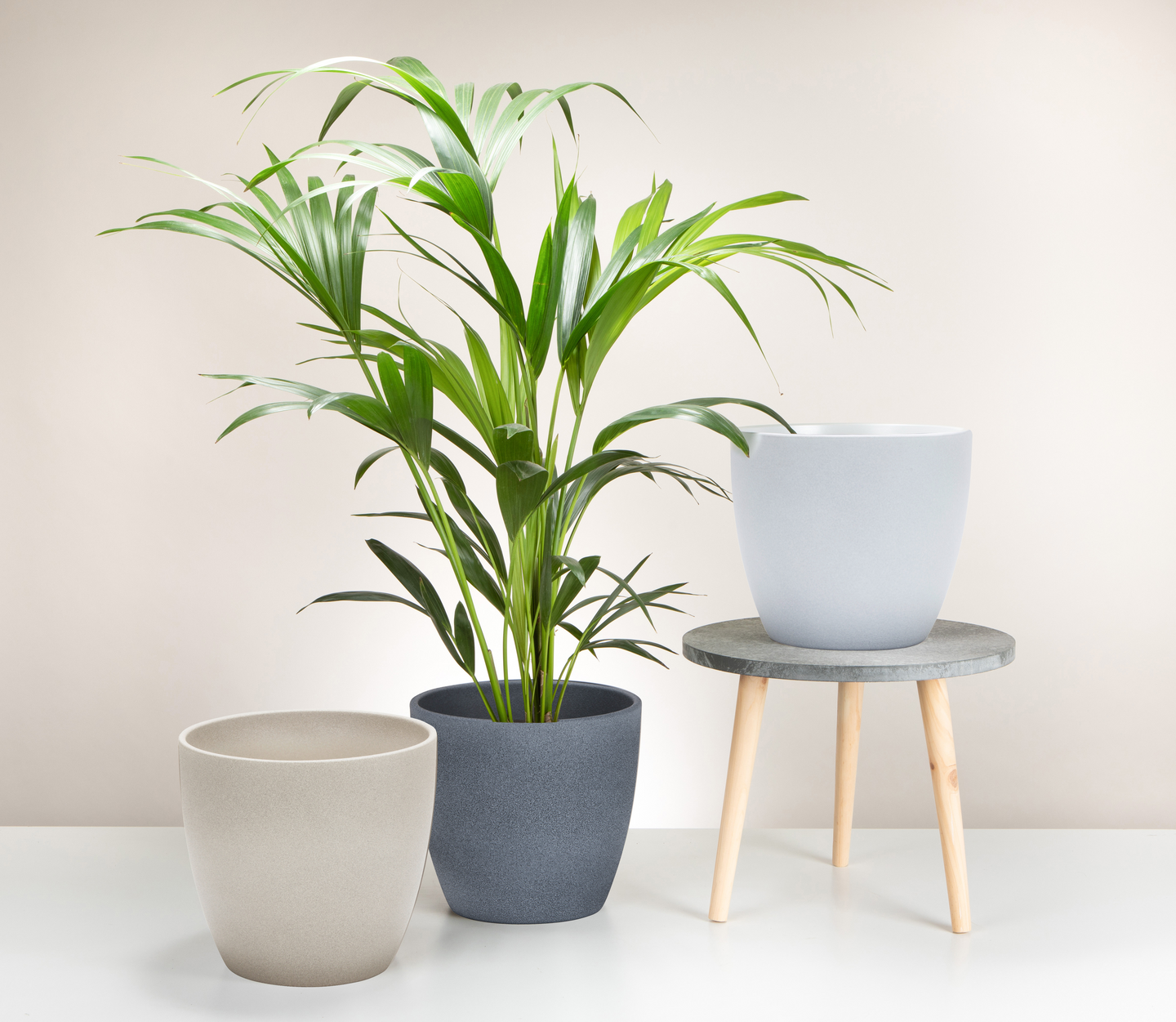 Scheurich ruukku, halkaisija 16 cm