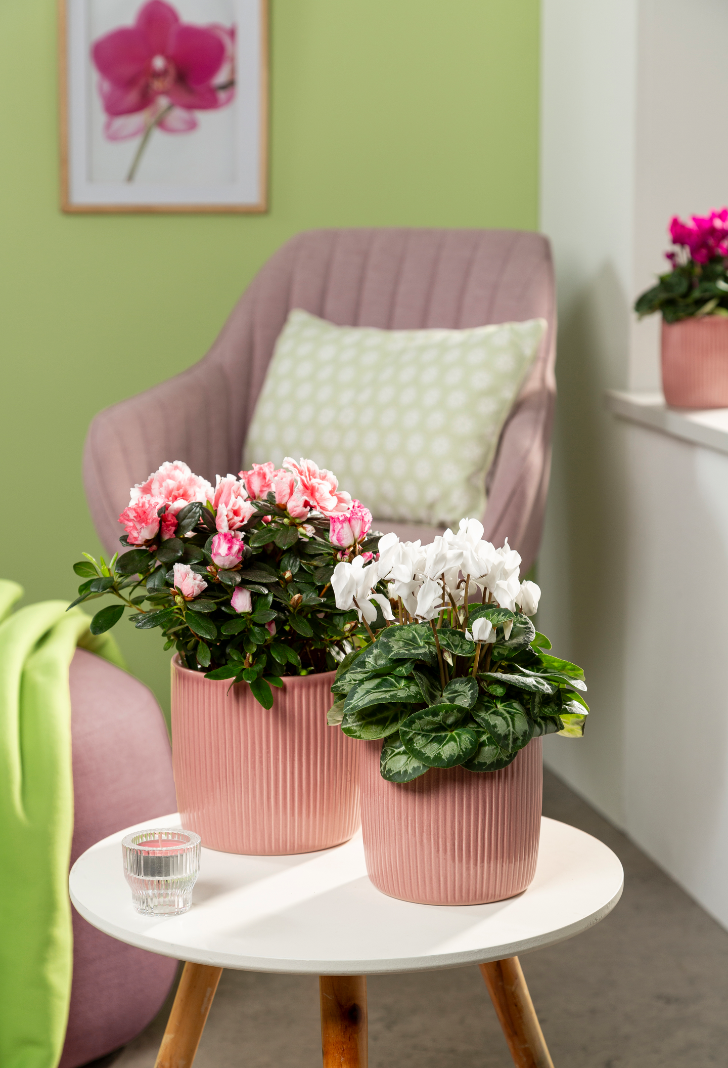 Scheurich ruukku raita 909-15 cm rose