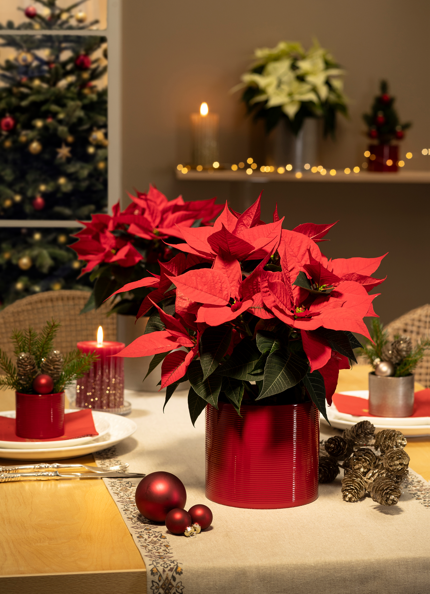 Scheurich ruukku 14 cm