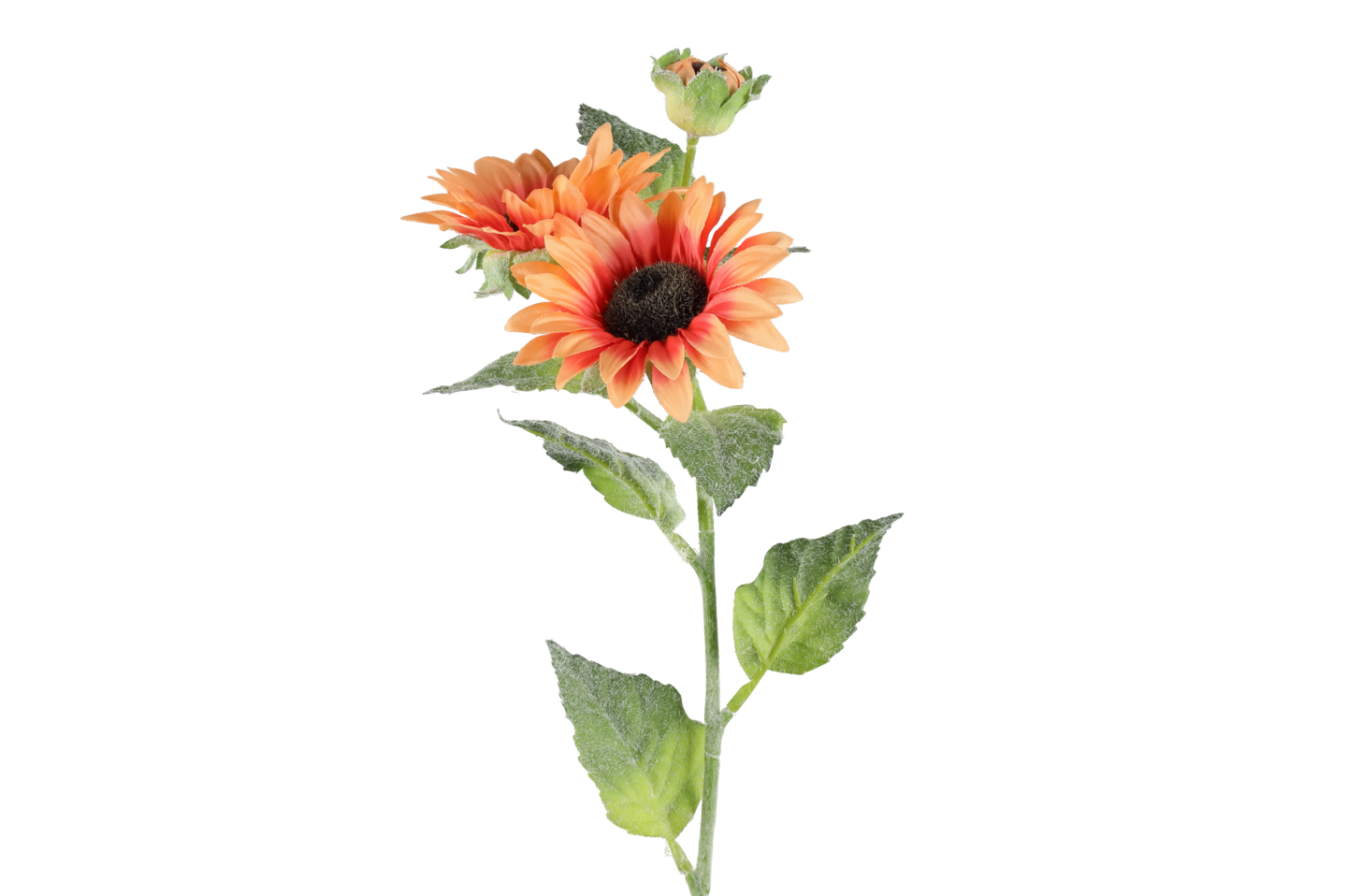 4Living Auringonkukka 62 cm lajitelma